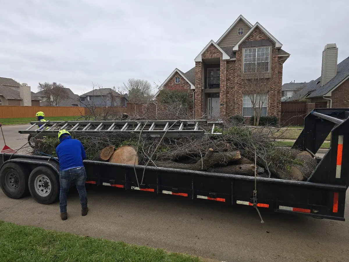 Expert Tree Fertilization with proper safety equipment in Cassopolis